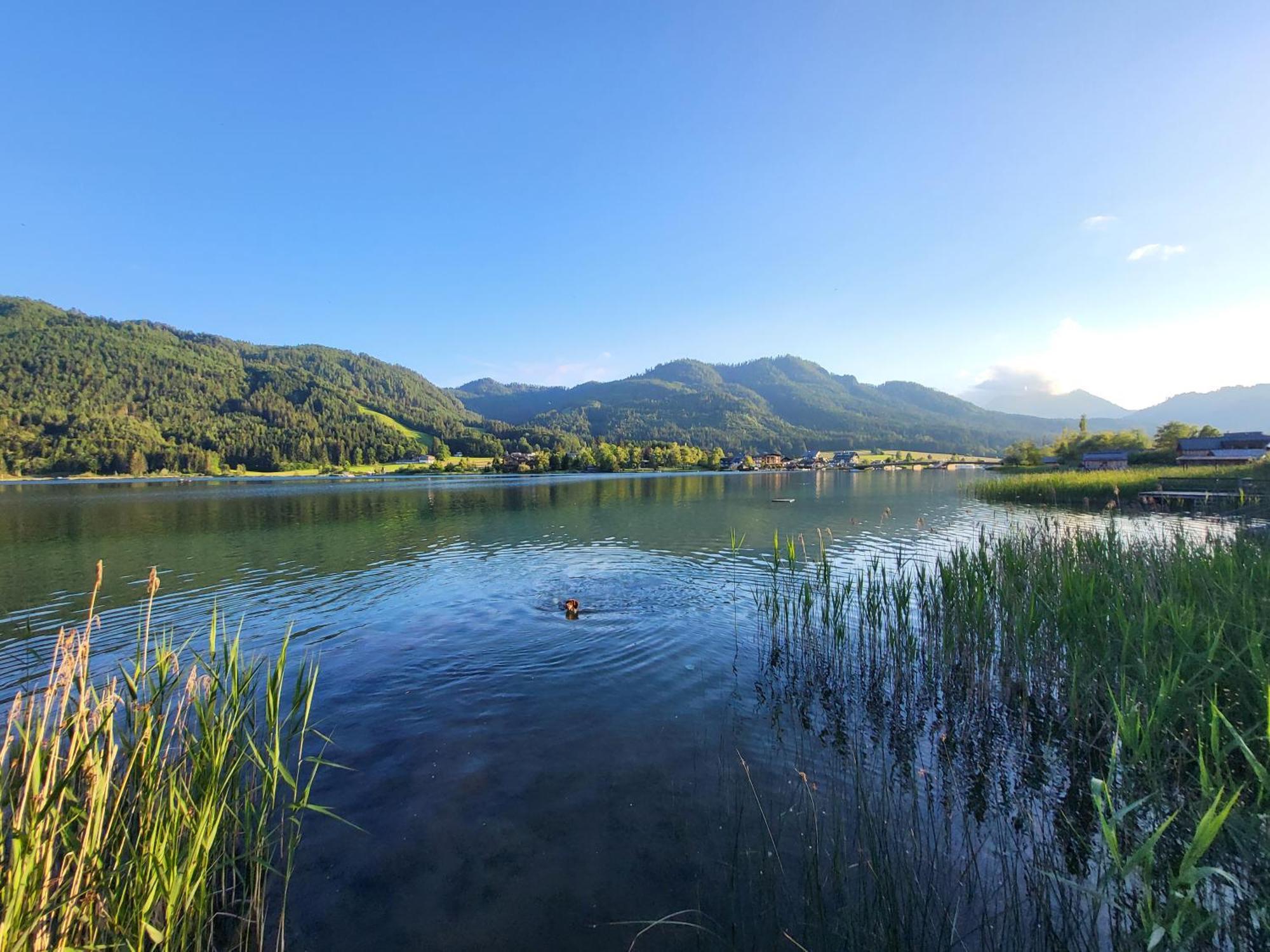 Haus Lackner Am Weissensee In Kaernten 外观 照片